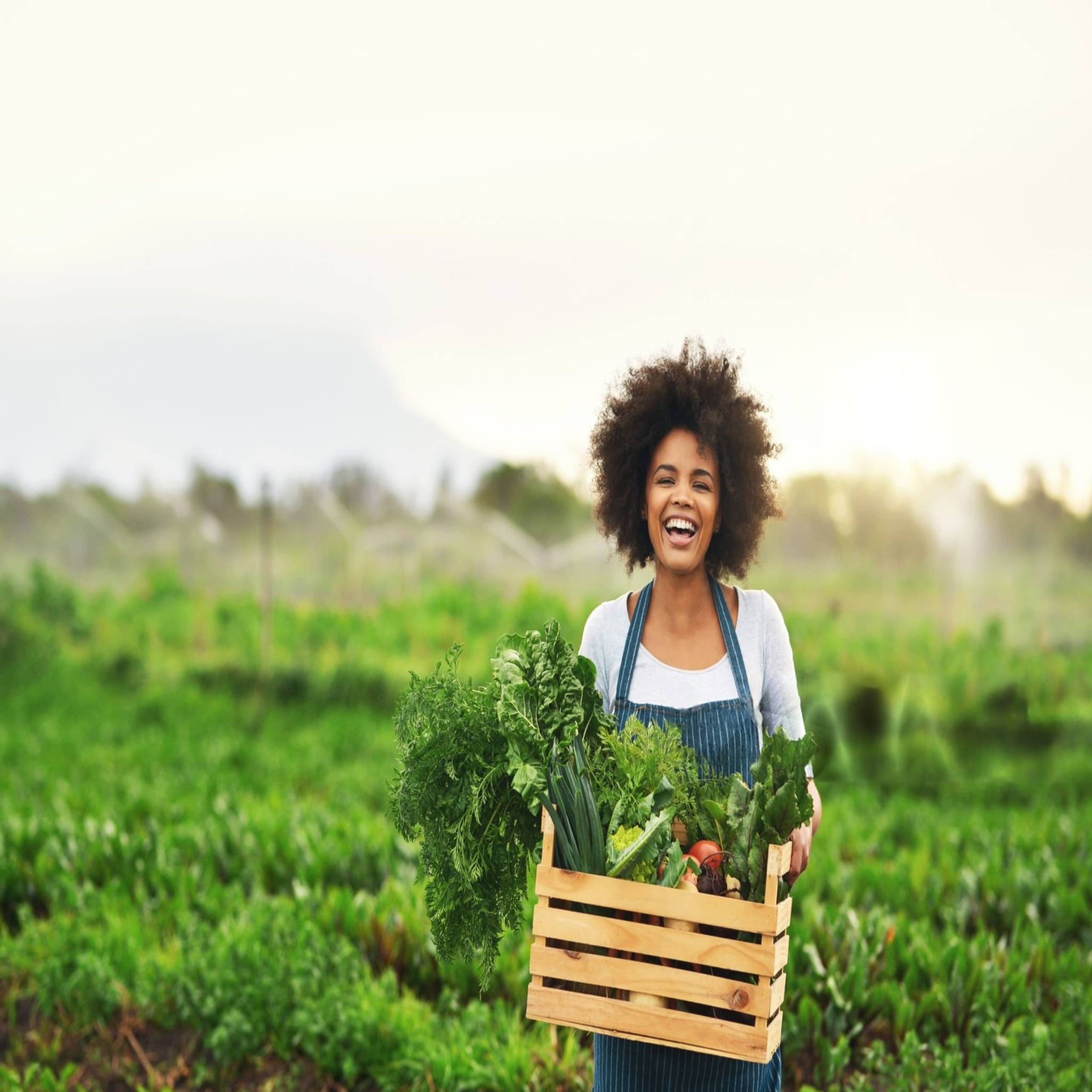 wmremove-transformed (2) (2)